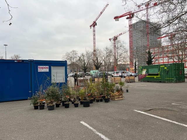 Arrivée des plantes