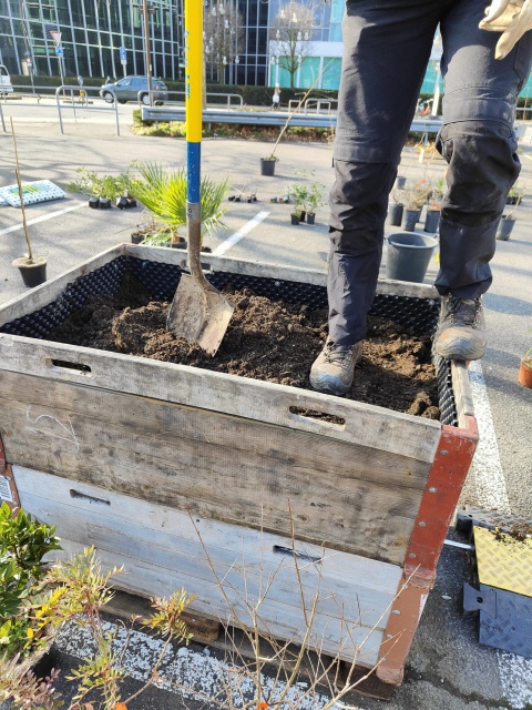 Plantation